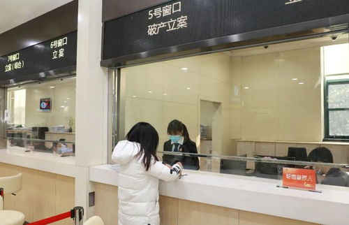 上海浦東法院受理破產(chǎn)審判庭成立后首案 聚焦計算機信息技術咨詢服務行業(yè)